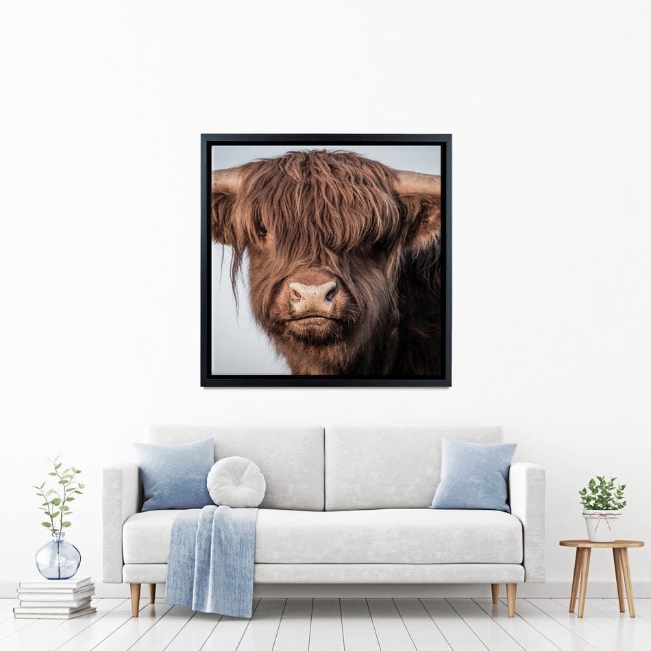 Scottish Brown Highland Cattle Square Canvas Print wall art product Sandro Fabris / Shutterstock