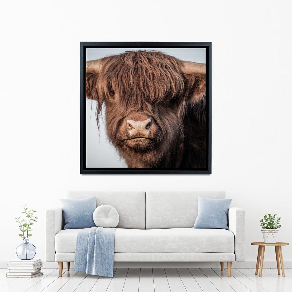 Scottish Brown Highland Cattle Square Canvas Print wall art product Sandro Fabris / Shutterstock