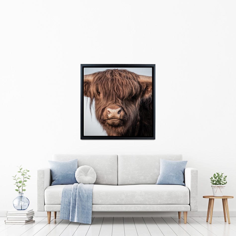 Scottish Brown Highland Cattle Square Canvas Print wall art product Sandro Fabris / Shutterstock