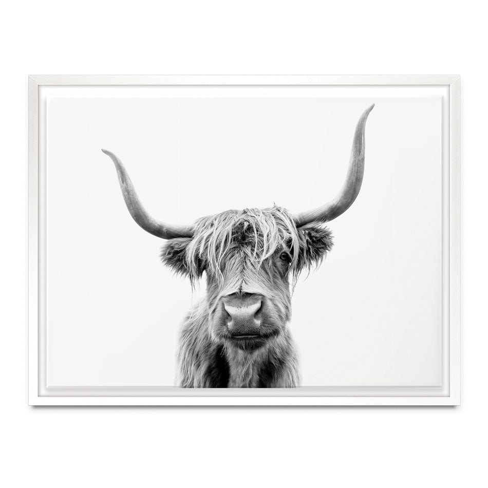 Scottish Highland Cattle Canvas Print wall art product okufner / Shutterstock