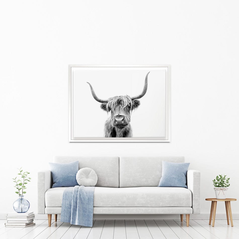 Scottish Highland Cattle Canvas Print wall art product okufner / Shutterstock