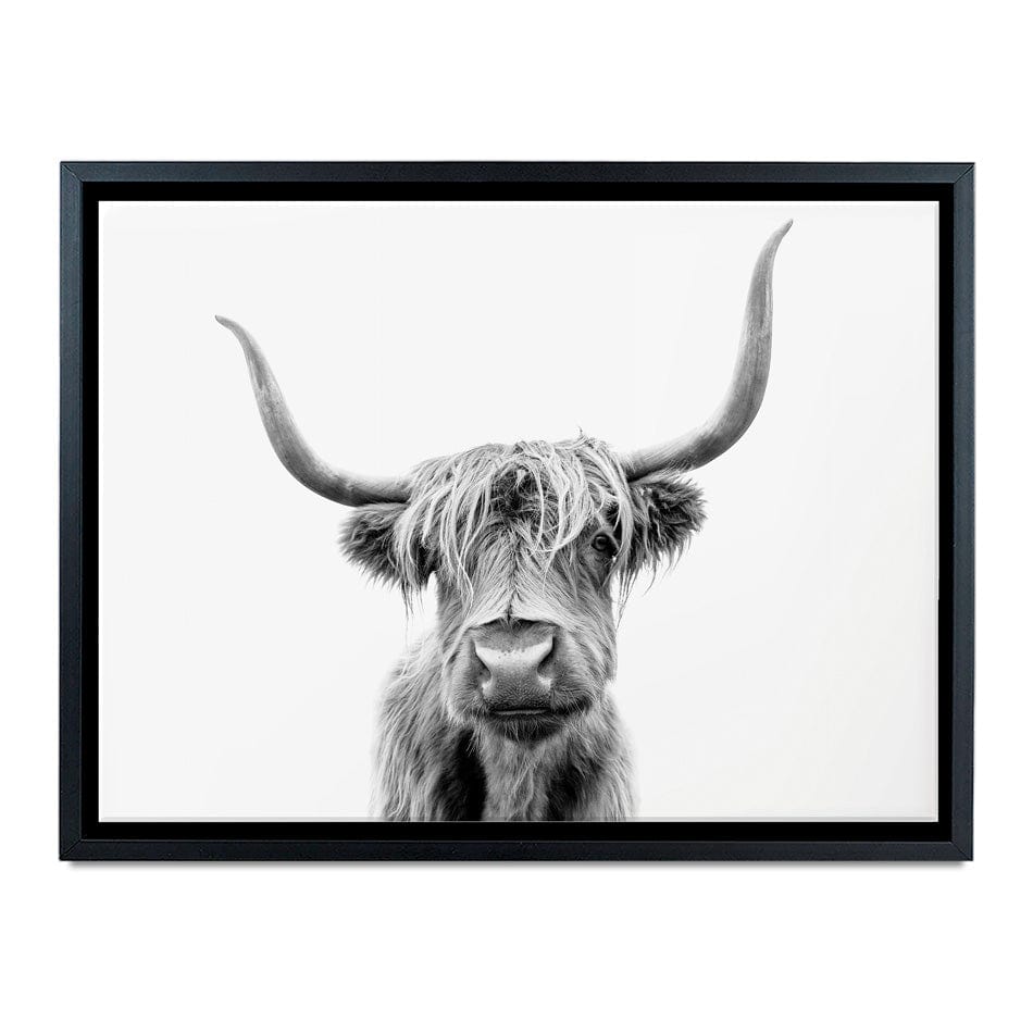 Scottish Highland Cattle Canvas Print wall art product okufner / Shutterstock