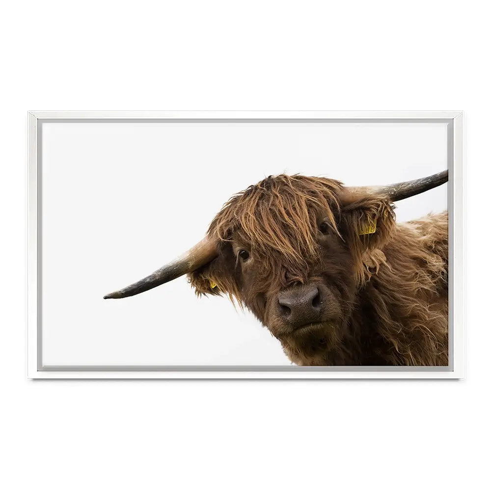 Side Peeking Highland Cow Canvas Print Side Peeking Highland Cow Canvas Print wall art product Massimo Cavallo / Shutterstock