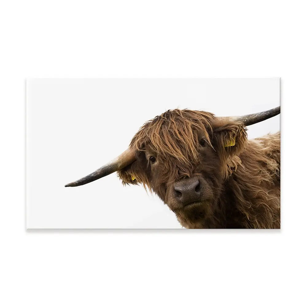 Side Peeking Highland Cow Canvas Print Side Peeking Highland Cow Canvas Print wall art product Massimo Cavallo / Shutterstock