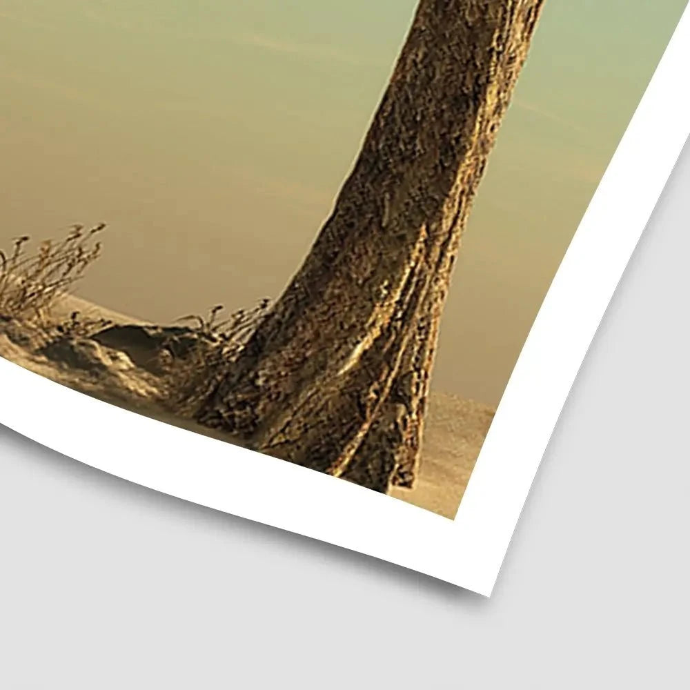 Sitting Elephant Art Print Sitting Elephant Art Print wall art product Orla / Shutterstock