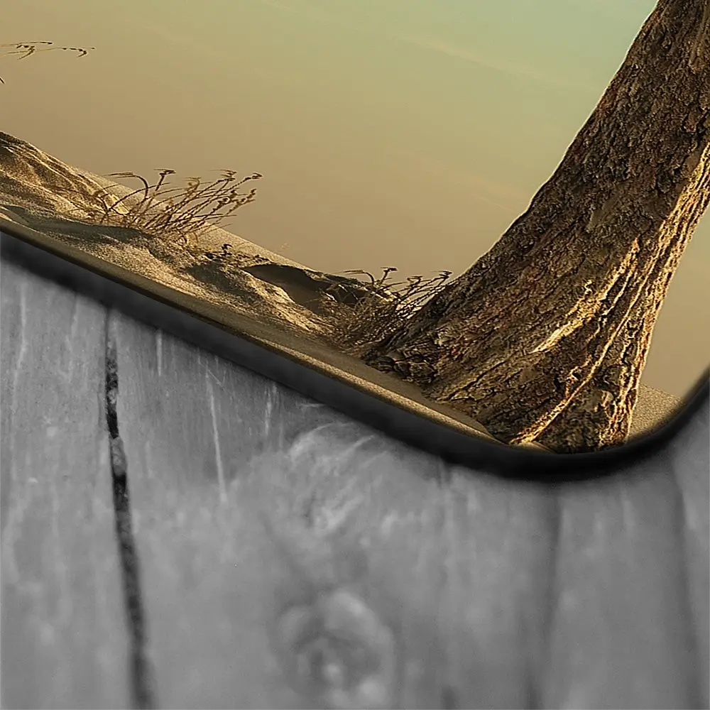 Sitting Elephant Coaster Set Sitting Elephant Coaster Set wall art product Orla / Shutterstock