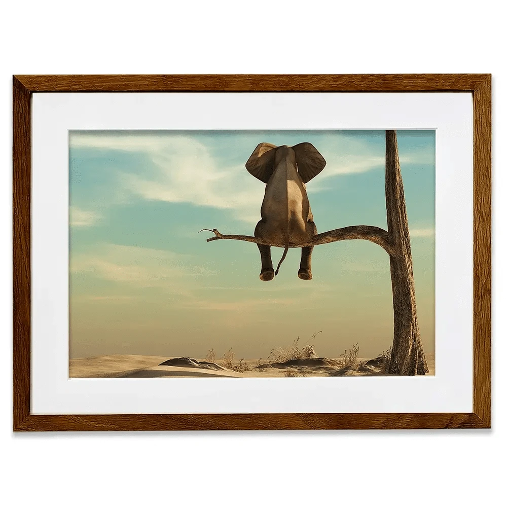 Sitting Elephant Framed Art Print Sitting Elephant Framed Art Print wall art product Orla / Shutterstock