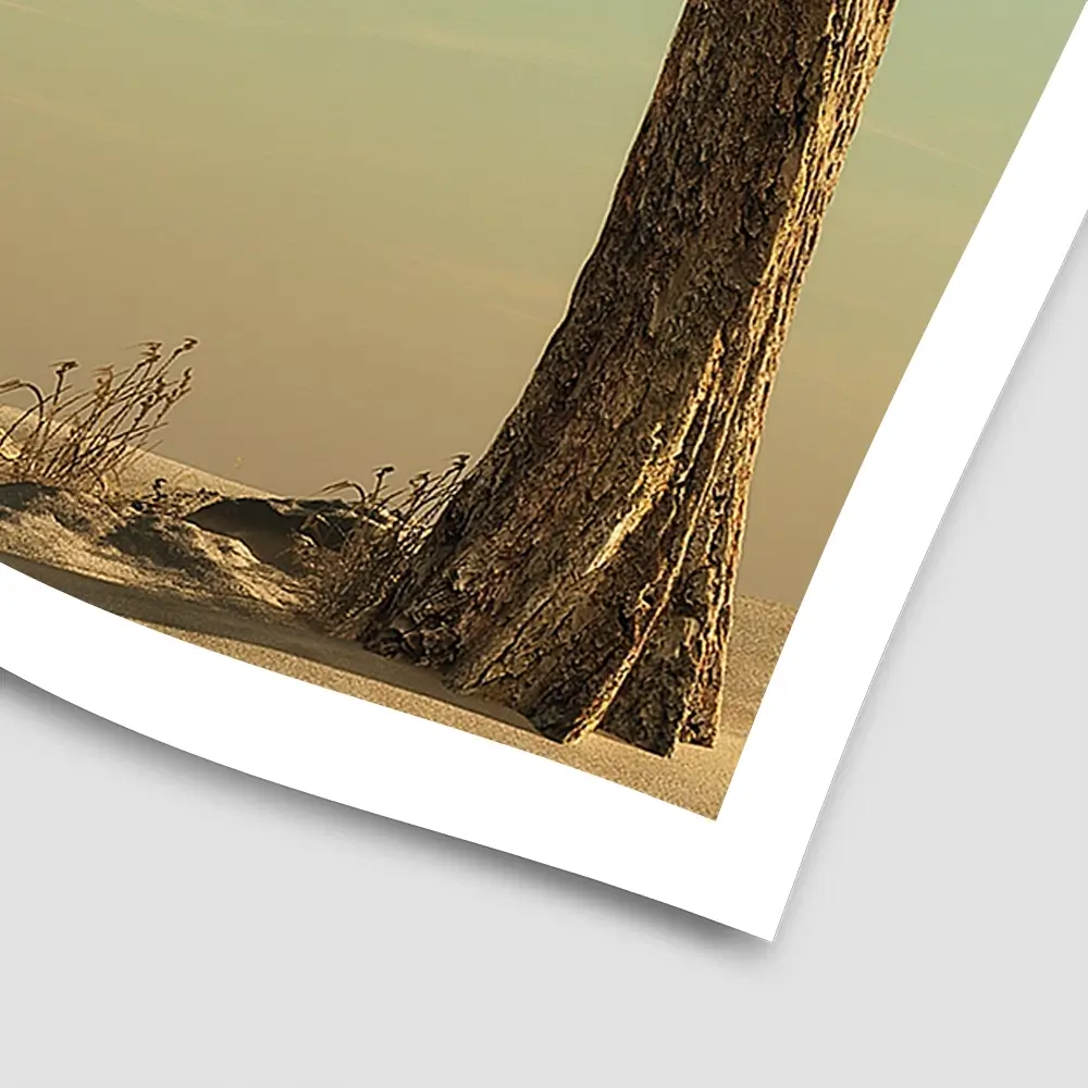 Sitting Elephant Square Art Print Sitting Elephant Square Art Print wall art product Orla / Shutterstock