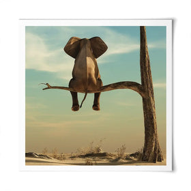 Sitting Elephant Square Art Print Sitting Elephant Square Art Print wall art product Orla / Shutterstock