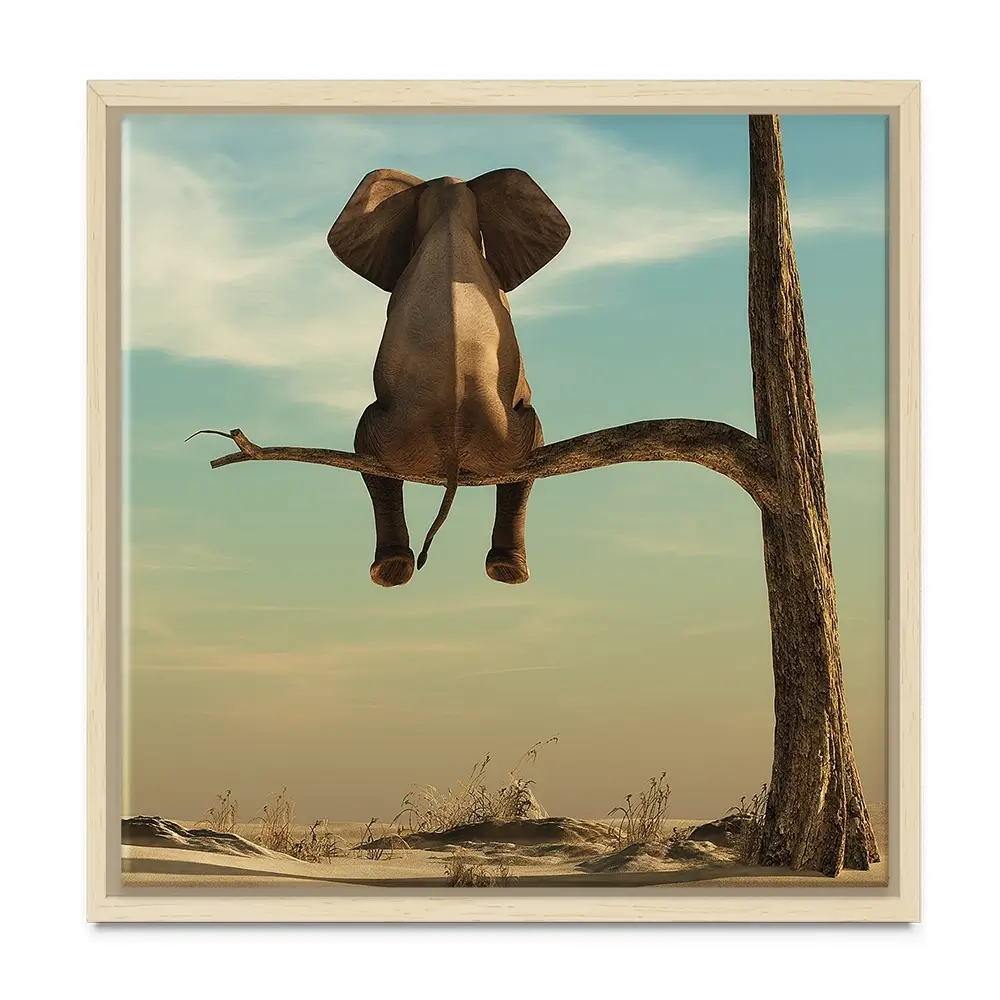 Sitting Elephant Square Canvas Print Sitting Elephant Square Canvas Print wall art product Orla / Shutterstock