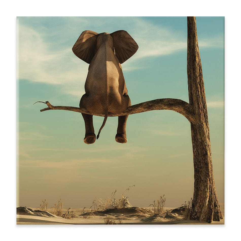 Sitting Elephant Square Canvas Print wall art product Orla / Shutterstock
