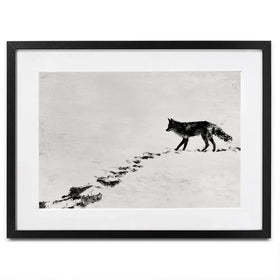 Snow Fox Trail Framed Art Print Snow Fox Trail Framed Art Print wall art product Chromatic Storm Studio