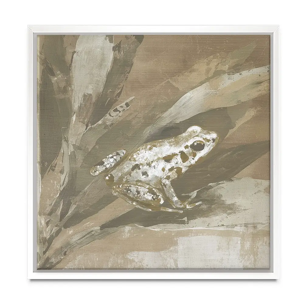 Soft Frog On Bromeliad Square Canvas Print Soft Frog On Bromeliad Square Canvas Print wall art product Chromatic Storm Studio