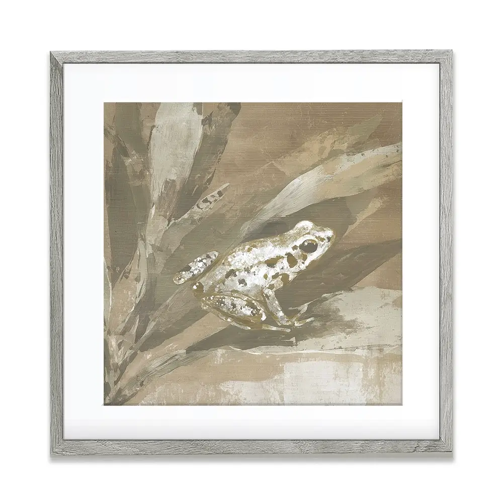 Soft Frog On Bromeliad Square Framed Art Print Soft Frog On Bromeliad Square Framed Art Print wall art product Chromatic Storm Studio