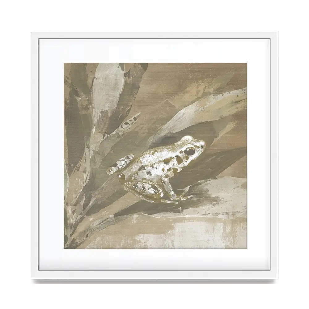 Soft Frog On Bromeliad Square Framed Art Print Soft Frog On Bromeliad Square Framed Art Print wall art product Chromatic Storm Studio