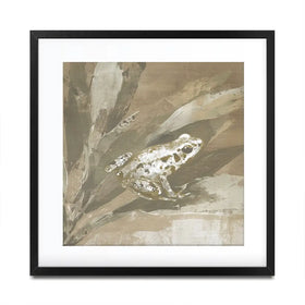 Soft Frog On Bromeliad Square Framed Art Print Soft Frog On Bromeliad Square Framed Art Print wall art product Chromatic Storm Studio