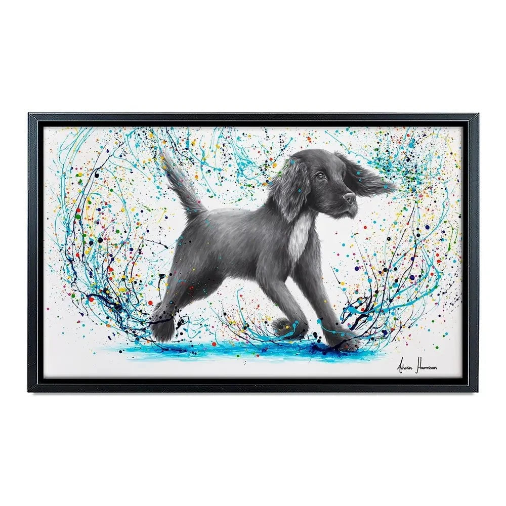 Spaniel Splash Canvas Print Spaniel Splash Canvas Print wall art product Ashvin Harrison