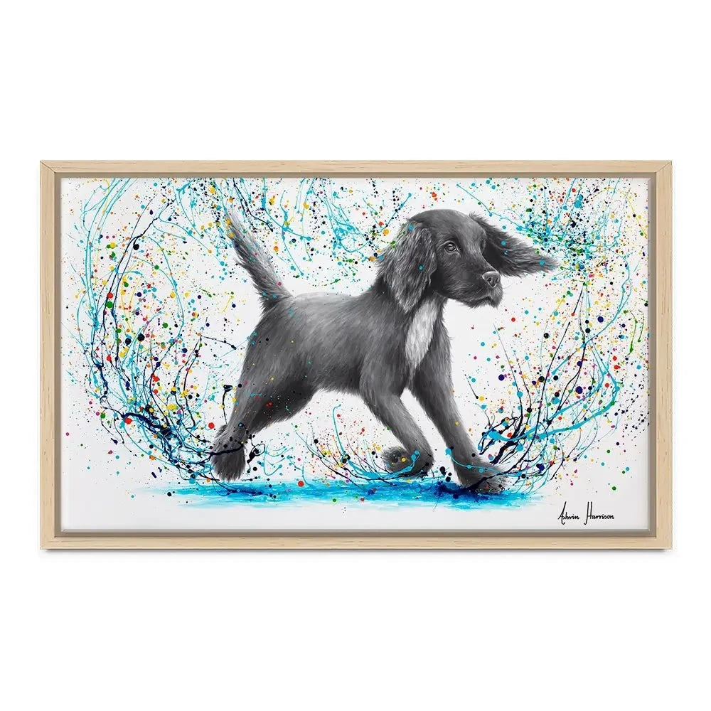 Spaniel Splash Canvas Print Spaniel Splash Canvas Print wall art product Ashvin Harrison