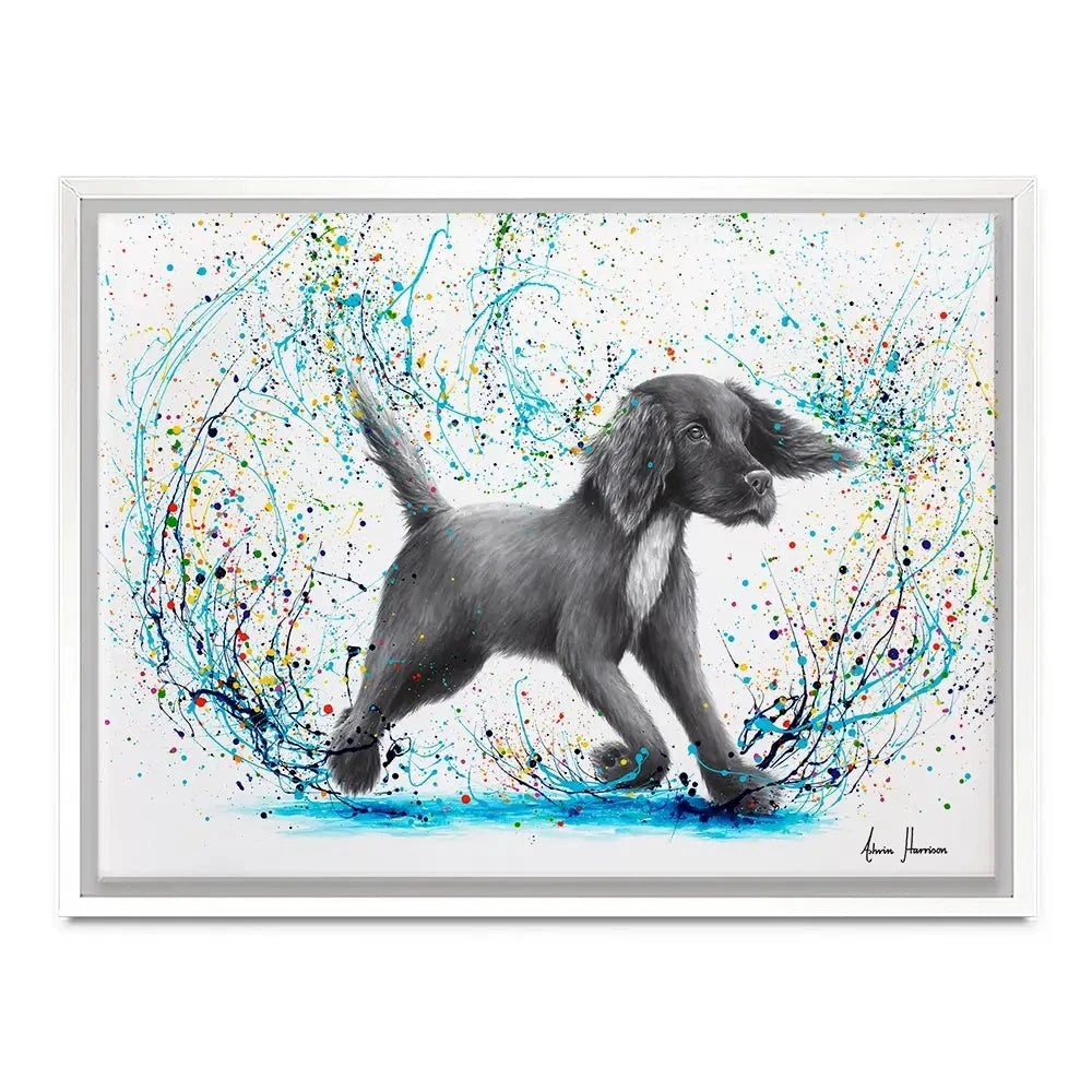 Spaniel Splash Canvas Print Spaniel Splash Canvas Print wall art product Ashvin Harrison