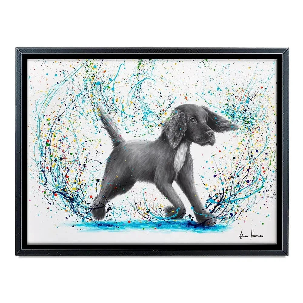 Spaniel Splash Canvas Print Spaniel Splash Canvas Print wall art product Ashvin Harrison