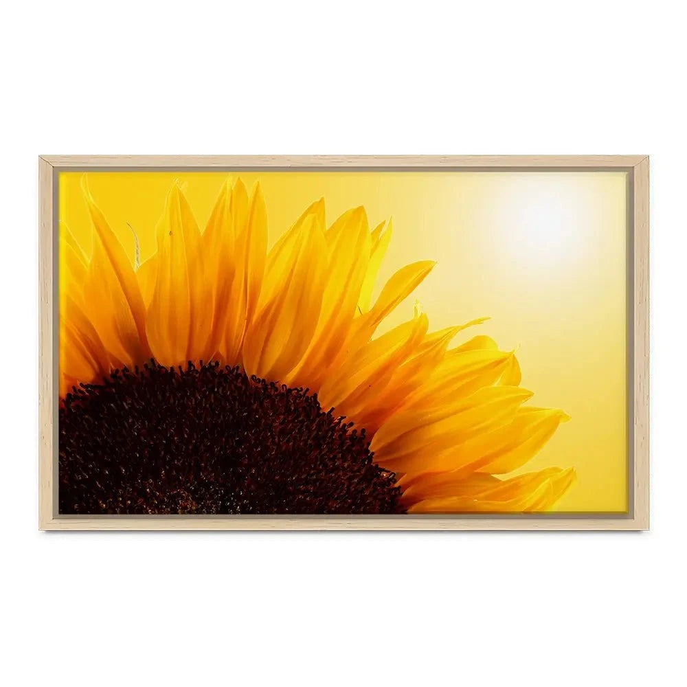 Sunflower Canvas Print Sunflower Canvas Print wall art product S_Photo / Shutterstock