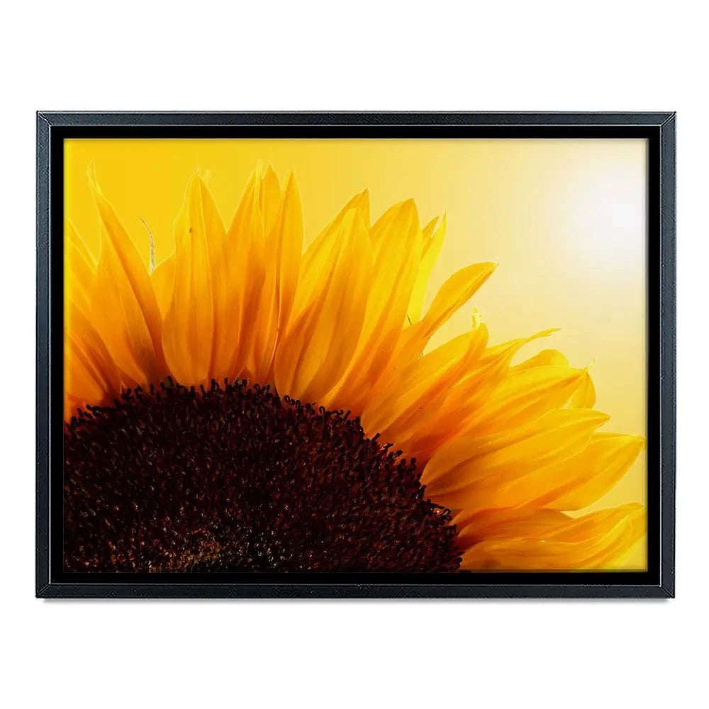 Sunflower Canvas Print Sunflower Canvas Print wall art product S_Photo / Shutterstock