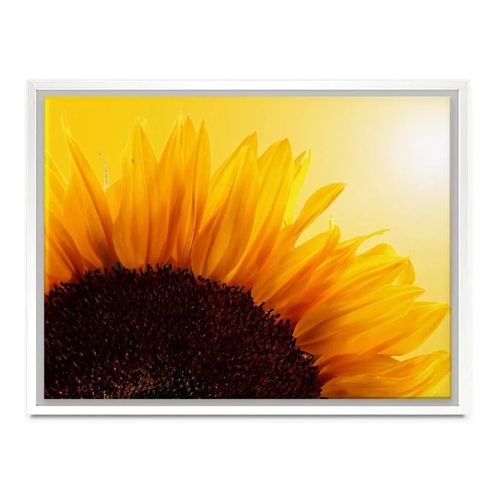 Sunflower Canvas Print Sunflower Canvas Print wall art product S_Photo / Shutterstock