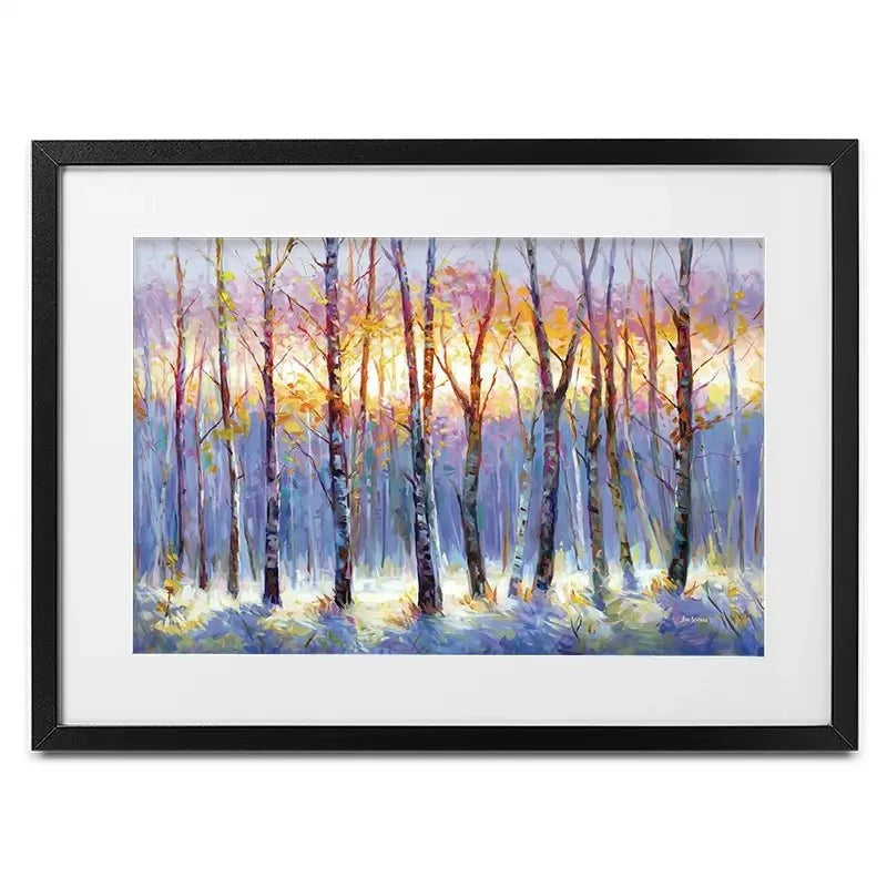 Sunrise Over The Birch Tree Forest Framed Art Print Sunrise Over The Birch Tree Forest Framed Art Print wall art product Leon Devenice