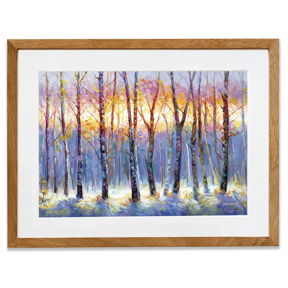 Sunrise Over The Birch Tree Forest Framed Art Print Sunrise Over The Birch Tree Forest Framed Art Print wall art product Leon Devenice