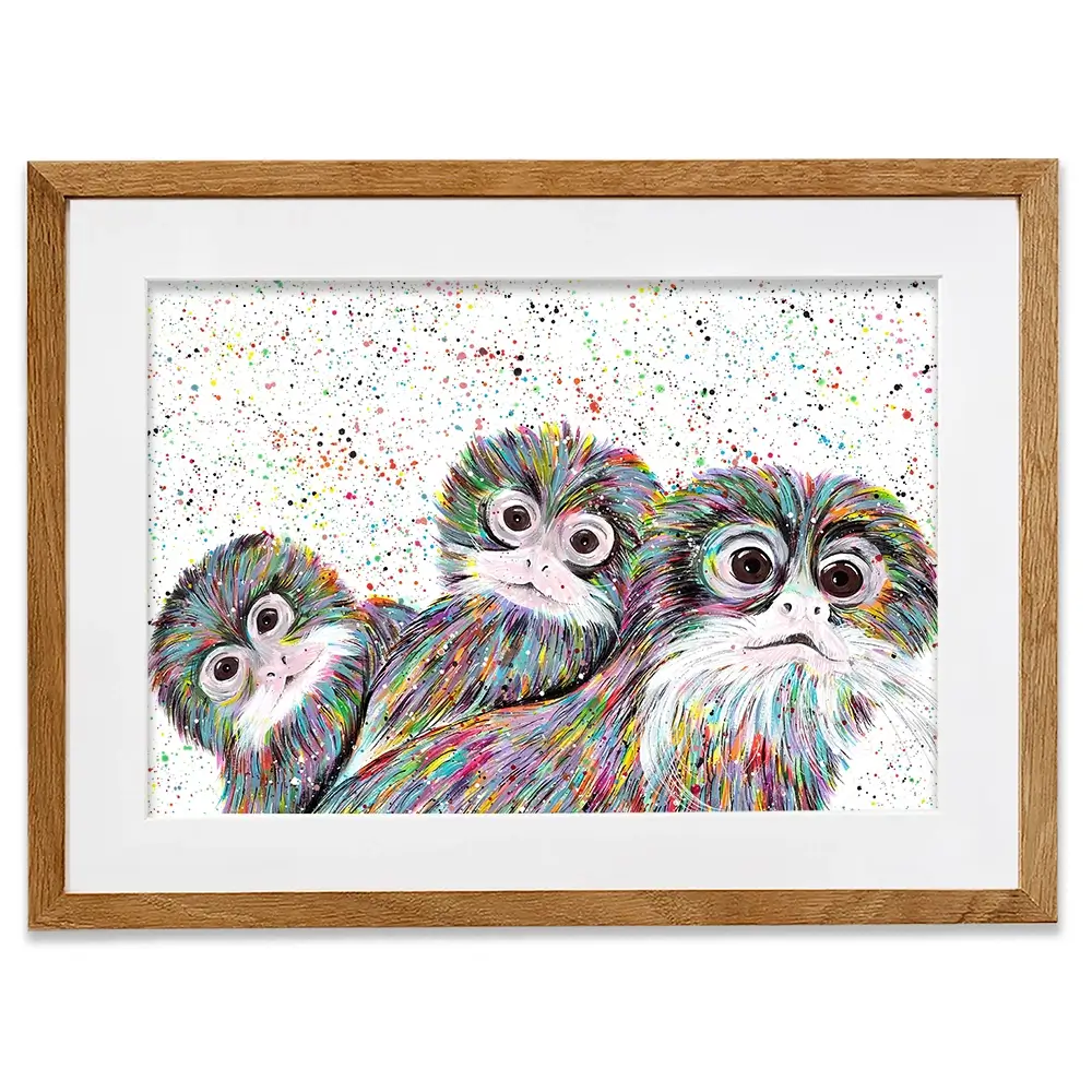 Tamarin Monkeys Framed Art Print Tamarin Monkeys Framed Art Print wall art product Emma LC Art
