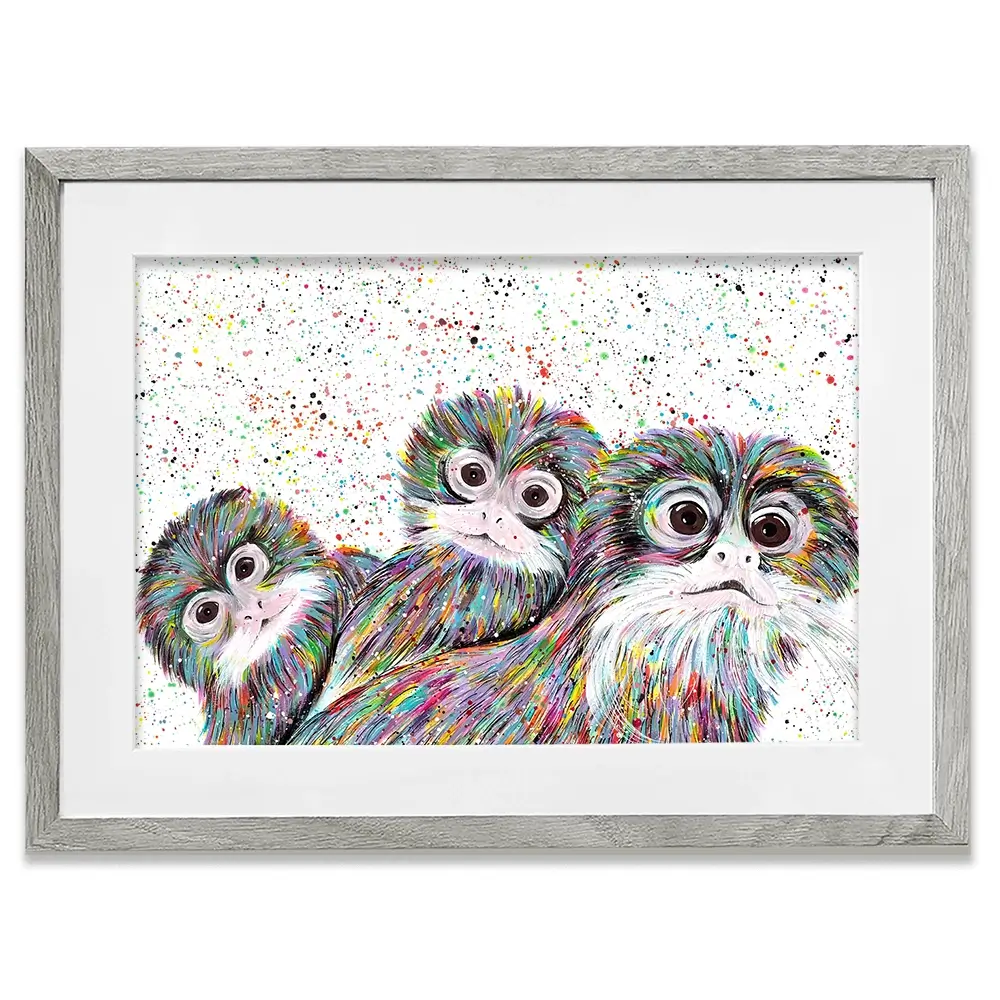 Tamarin Monkeys Framed Art Print Tamarin Monkeys Framed Art Print wall art product Emma LC Art