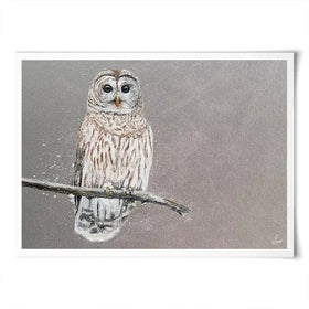 Tawny Owl At Night Art Print Tawny Owl At Night Art Print wall art product Laure Bury