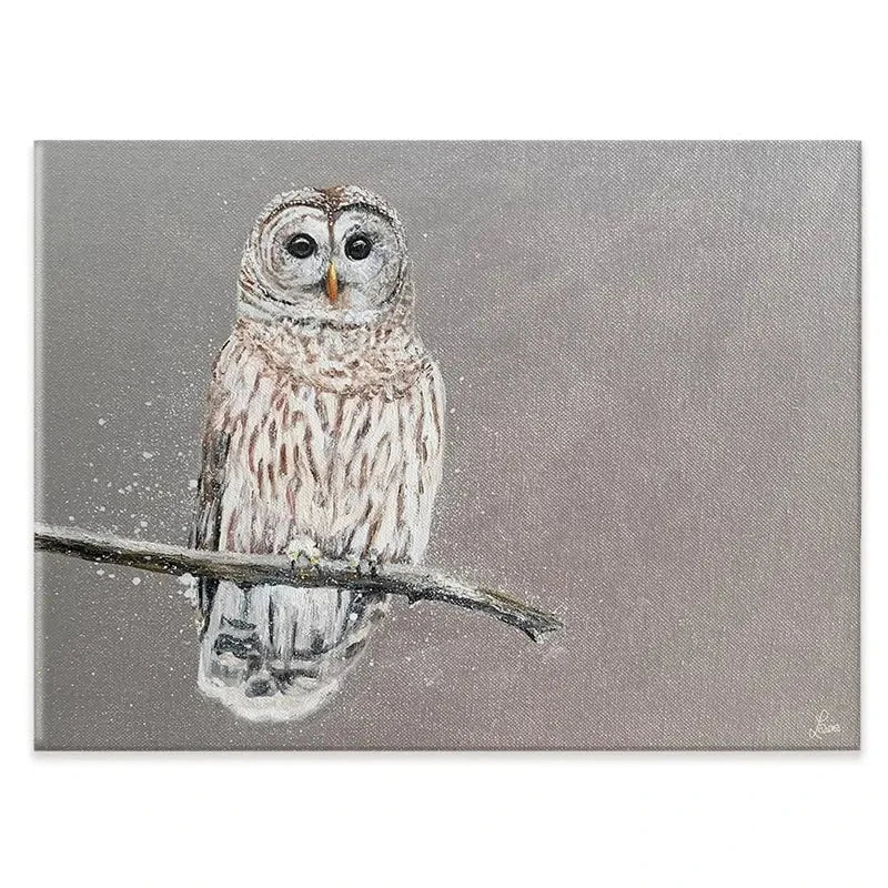 Tawny Owl At Night Canvas Print Tawny Owl At Night Canvas Print wall art product Laure Bury