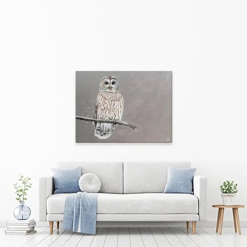 Tawny Owl At Night Canvas Print Tawny Owl At Night Canvas Print wall art product Laure Bury