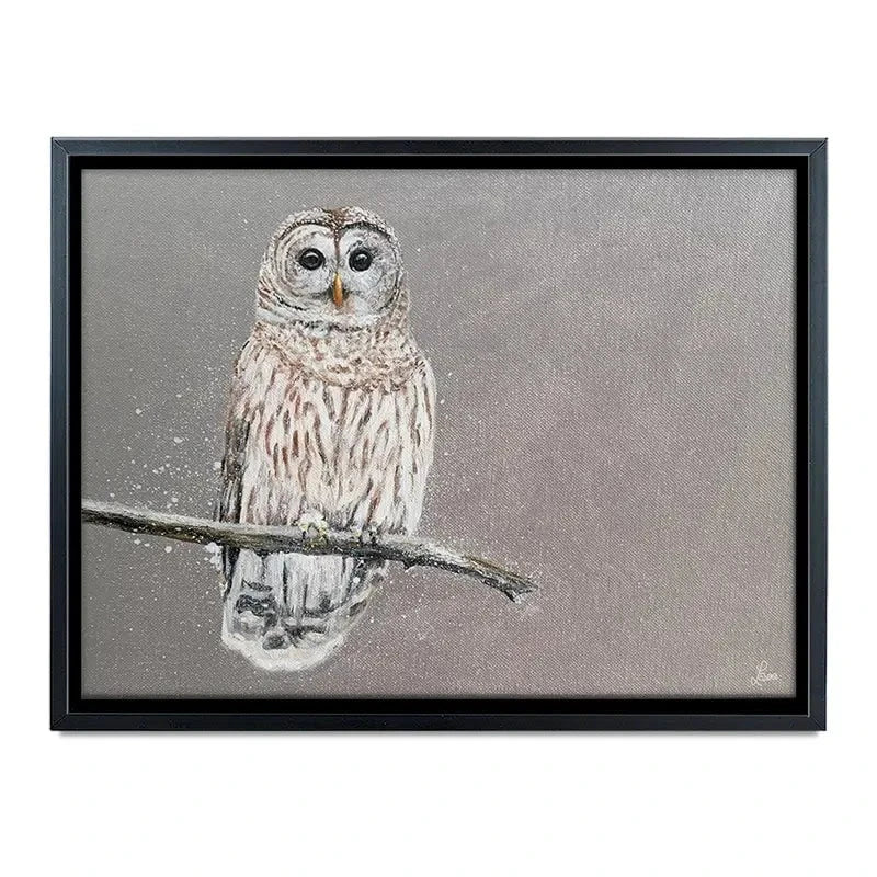 Tawny Owl At Night Canvas Print Tawny Owl At Night Canvas Print wall art product Laure Bury