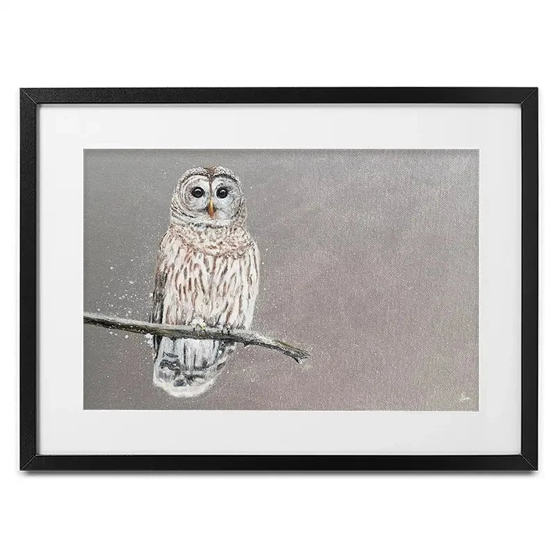 Tawny Owl At Night Framed Art Print Tawny Owl At Night Framed Art Print wall art product Laure Bury