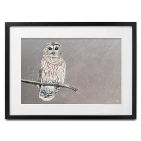Tawny Owl At Night Framed Art Print Tawny Owl At Night Framed Art Print wall art product Laure Bury