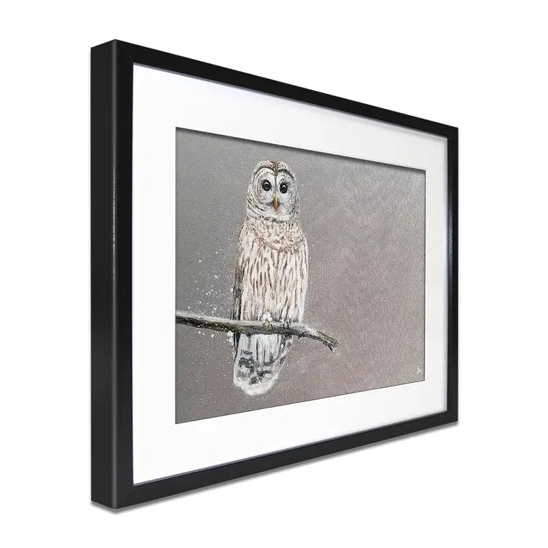 Tawny Owl At Night Framed Art Print Tawny Owl At Night Framed Art Print wall art product Laure Bury