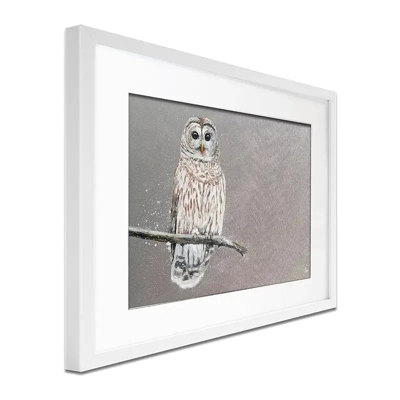 Tawny Owl At Night Framed Art Print Tawny Owl At Night Framed Art Print wall art product Laure Bury