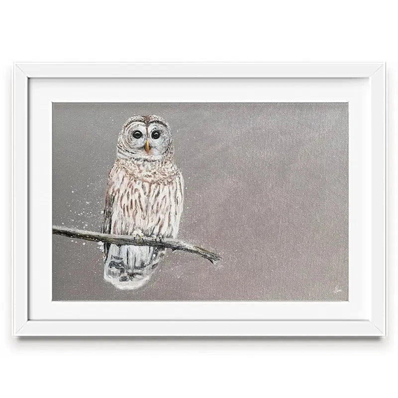 Tawny Owl At Night Framed Art Print Tawny Owl At Night Framed Art Print wall art product Laure Bury