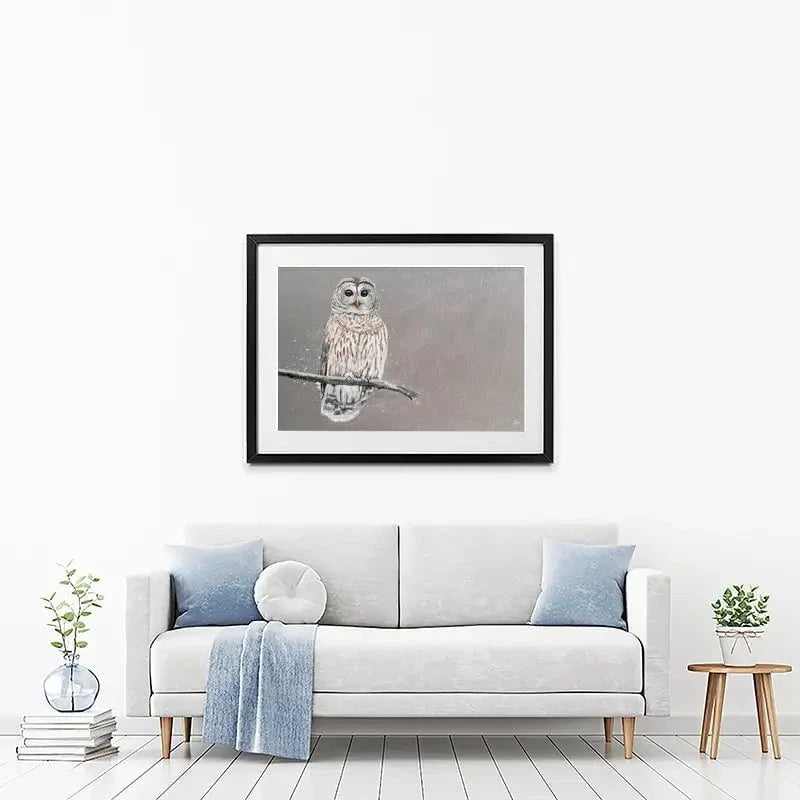 Tawny Owl At Night Framed Art Print Tawny Owl At Night Framed Art Print wall art product Laure Bury