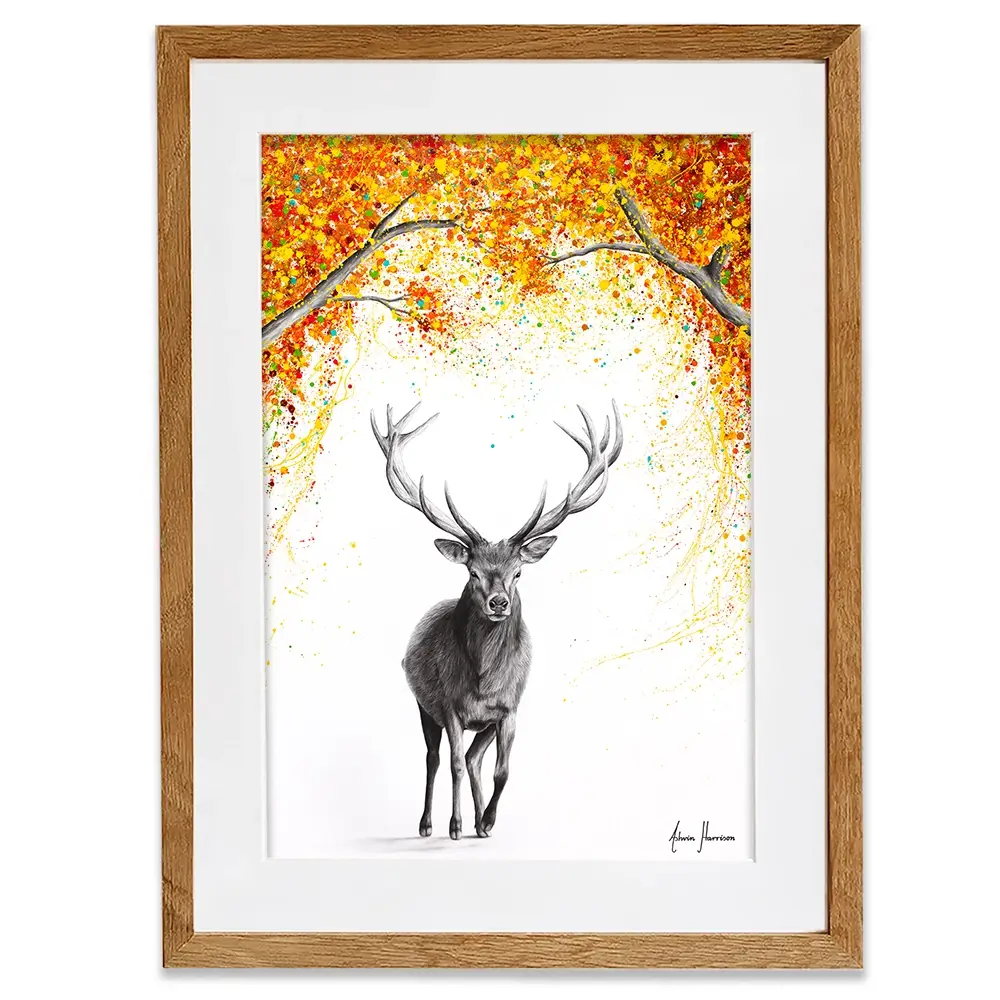 The Deer Dreamer Framed Art Print The Deer Dreamer Framed Art Print wall art product Ashvin Harrison