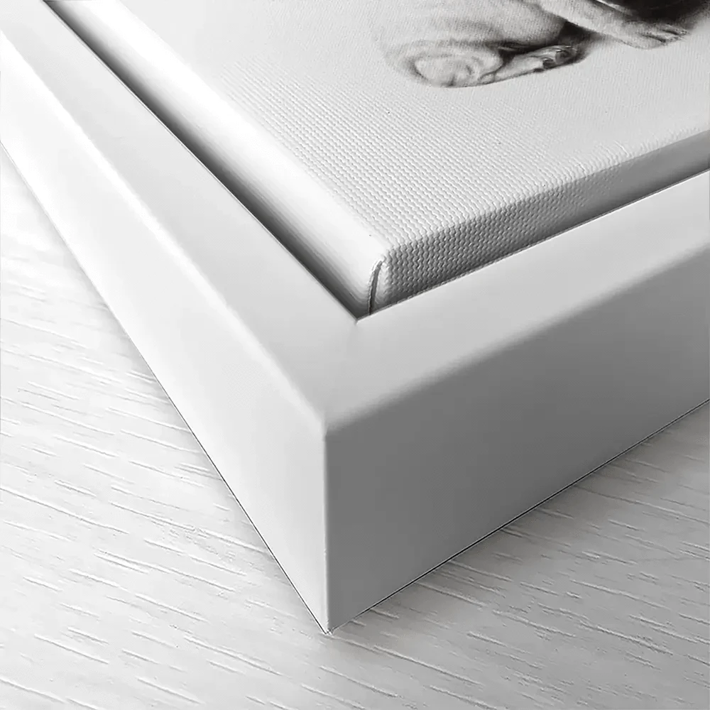 The French Bulldog And The Balloons Canvas Print The French Bulldog And The Balloons Canvas Print wall art product Ashvin Harrison