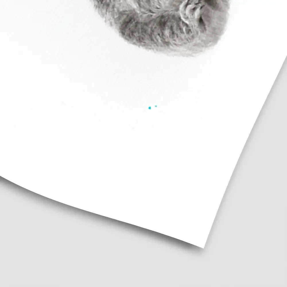 The Koala And The Balloons Art Print The Koala And The Balloons Art Print wall art product Ashvin Harrison