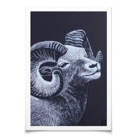 The Ram Art Print The Ram Art Print wall art product Studio Paint-Ing