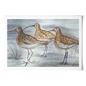 Three Curlews Art Print Three Curlews Art Print wall art product Jane Brookshaw