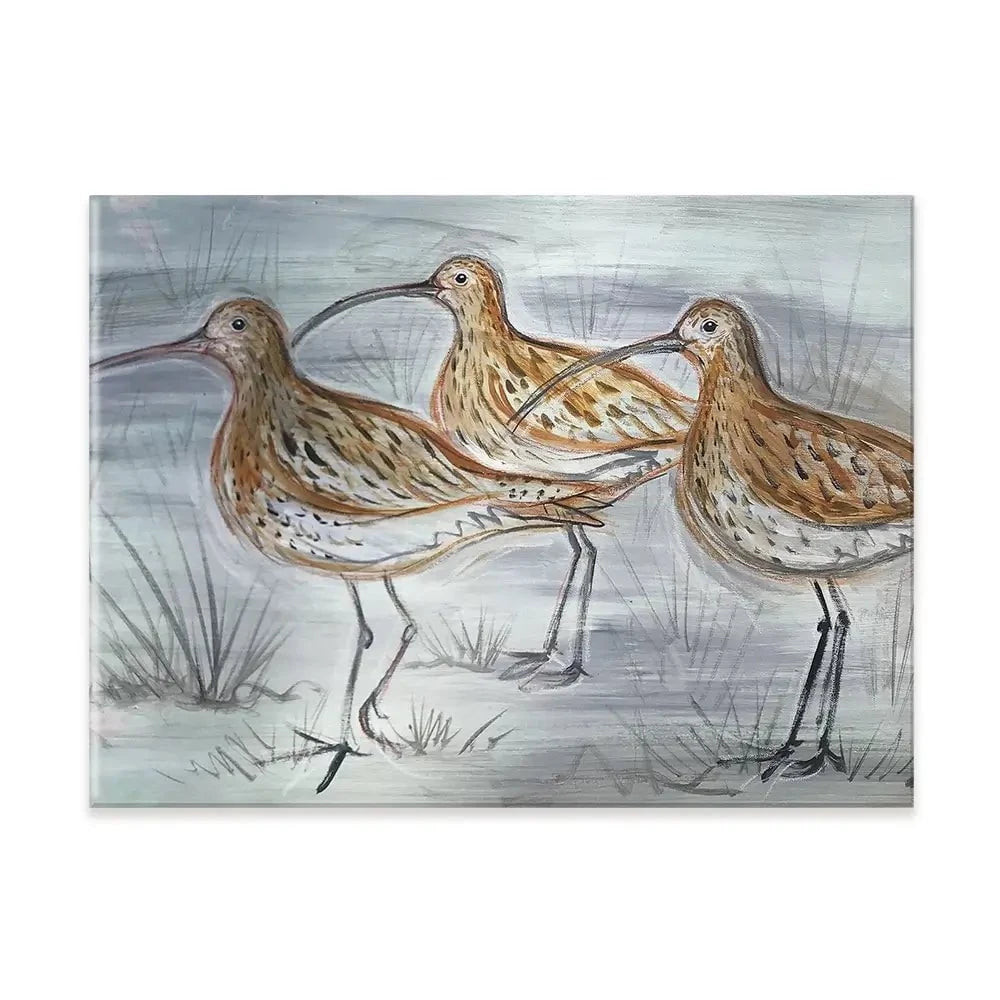 Three Curlews Canvas Print Three Curlews Canvas Print wall art product Jane Brookshaw