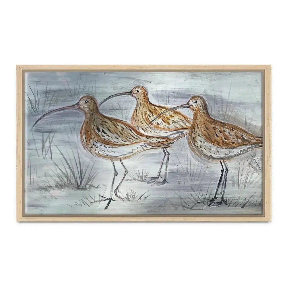 Three Curlews Canvas Print Three Curlews Canvas Print wall art product Jane Brookshaw
