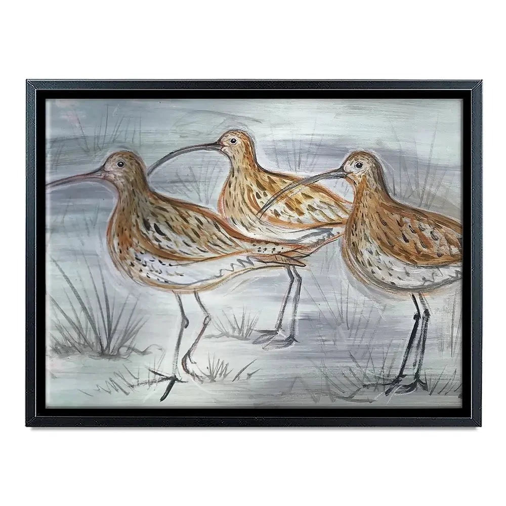Three Curlews Canvas Print Three Curlews Canvas Print wall art product Jane Brookshaw