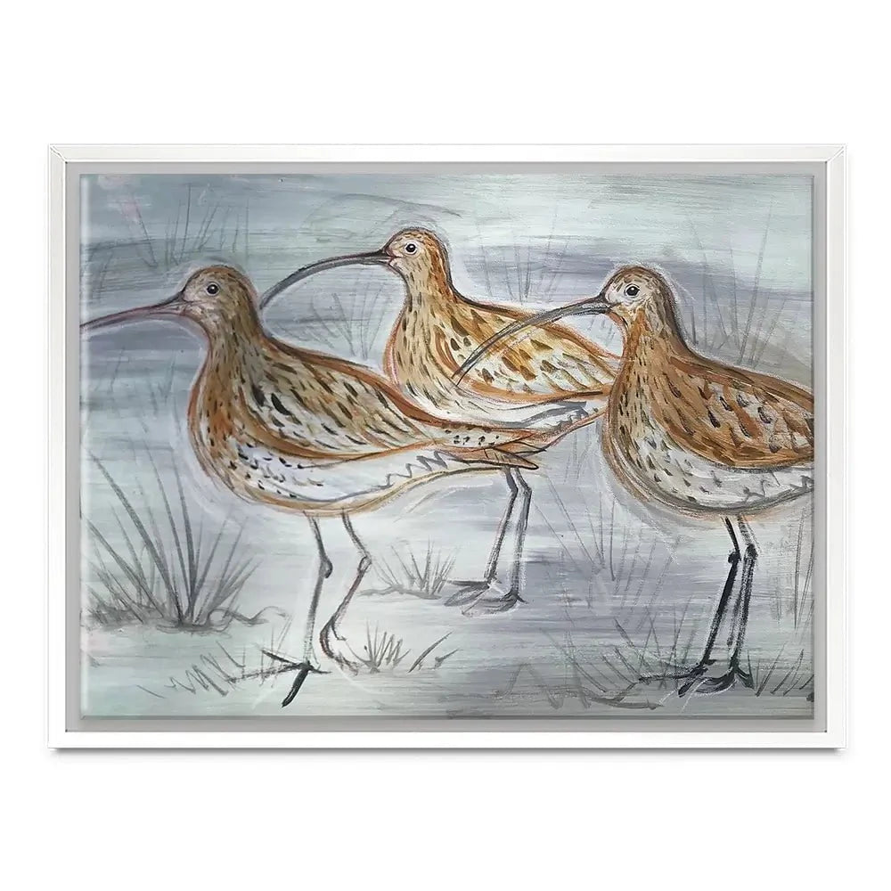 Three Curlews Canvas Print Three Curlews Canvas Print wall art product Jane Brookshaw